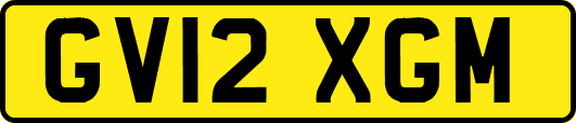GV12XGM