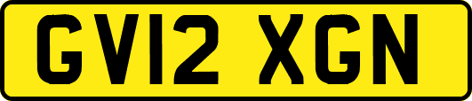 GV12XGN
