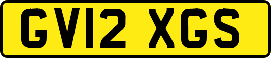 GV12XGS