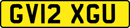 GV12XGU