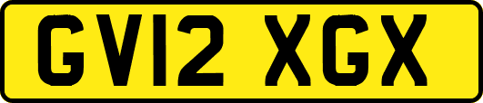 GV12XGX