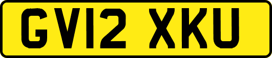 GV12XKU