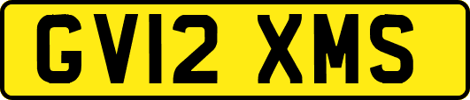 GV12XMS