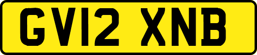 GV12XNB