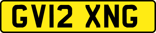 GV12XNG