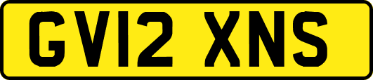 GV12XNS