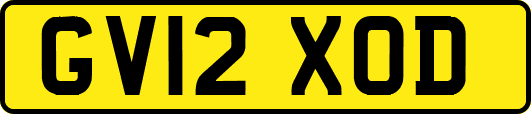 GV12XOD