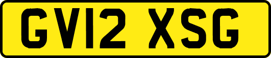 GV12XSG
