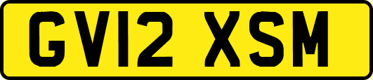 GV12XSM
