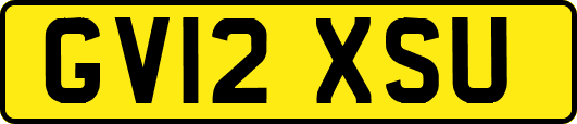 GV12XSU