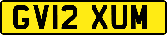 GV12XUM