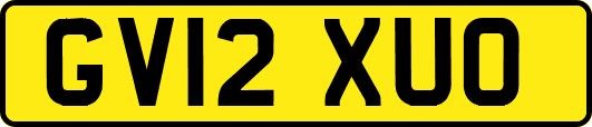 GV12XUO