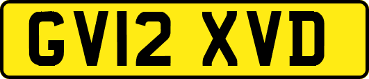 GV12XVD