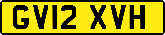 GV12XVH