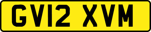 GV12XVM