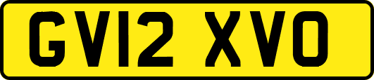 GV12XVO