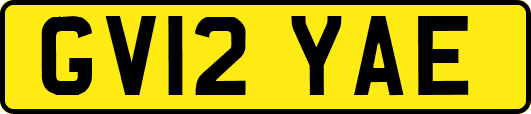 GV12YAE