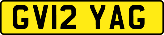 GV12YAG