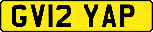GV12YAP