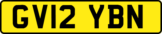 GV12YBN