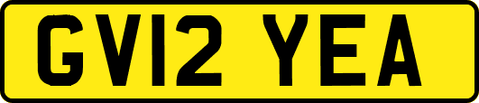 GV12YEA
