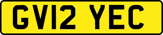 GV12YEC