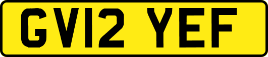 GV12YEF