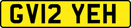 GV12YEH