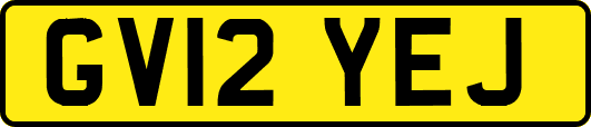 GV12YEJ