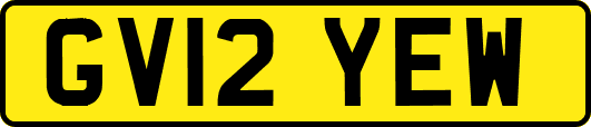 GV12YEW