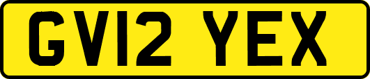 GV12YEX