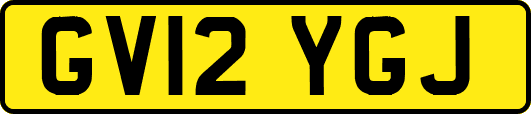 GV12YGJ