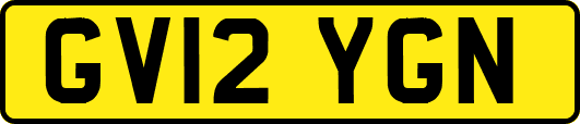 GV12YGN