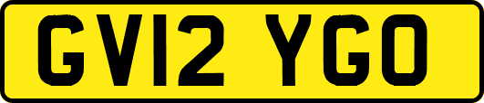 GV12YGO