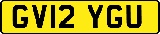 GV12YGU