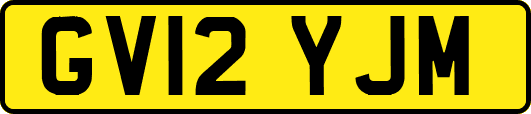 GV12YJM
