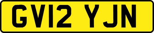 GV12YJN