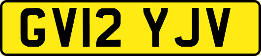 GV12YJV