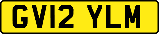 GV12YLM