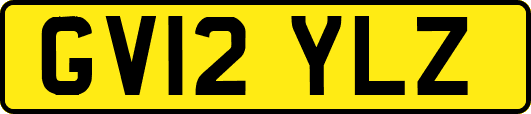 GV12YLZ