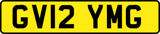 GV12YMG