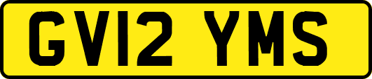 GV12YMS