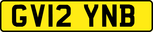GV12YNB