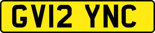 GV12YNC