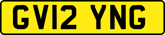 GV12YNG