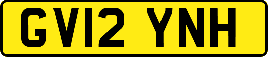 GV12YNH