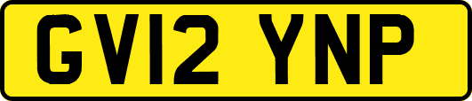 GV12YNP