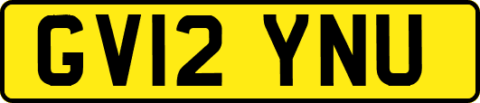 GV12YNU