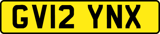 GV12YNX