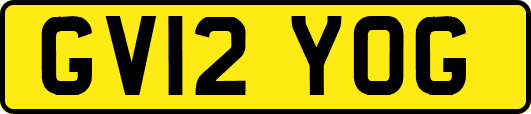 GV12YOG